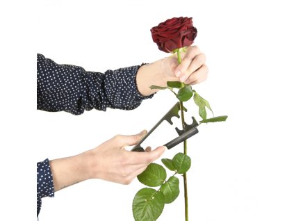 dostan obrazek shoptet.php?dir=odstranovac trnu z ruzi 14 x 3 9 x 2 8 cm kovovy&img=odstranovac trnu z ruzi 14 x 3 9 x 2 8 cm kovovy