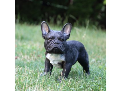 dostan obrazek shoptet.php?dir=dekorace do zahrady buldocek 33cm&img=dekorace do zahrady buldocek 33cm