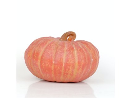 dostan obrazek shoptet.php?dir=podzimni dekorace dyne kulata 17x11x17cm&img=podzimni dekorace dyne kulata 17x11x17cm