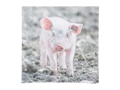 dostan obrazek shoptet.php?dir=papirove ubrousky s motivem 16 5x16 5cm&img=papirove ubrousky s motivem 16 5x16 5cm