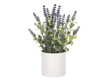 Levandule v bílém obalu - umělá, barva přírodní