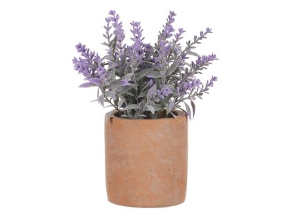 Levandule ve světle hnědém obalu - umělá, barva přírodní