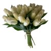 dostan obrazek shoptet.php?dir=tulipan kremovy kvet 40 cm&img=tulipan kremovy kvet 40 cm