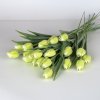dostan obrazek shoptet.php?dir=tulipany umele zeleno bile&img=tulipany umele zeleno bile