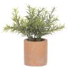 Rozmarýn ve světle hnědém obalu - umělý, zelený