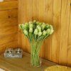 dostan obrazek shoptet.php?dir=tulipan zeleny 40cm&img=tulipan zeleny 40cm two