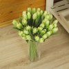 dostan obrazek shoptet.php?dir=tulipan zeleny 40cm&img=tulipan zeleny 40cm three