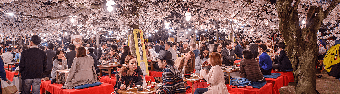 svátek třešňových květů