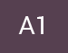 A1
