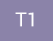 T1