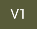 V1