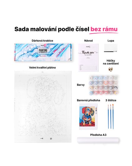 Malování podle čísel - SLONI V SAVANĚ