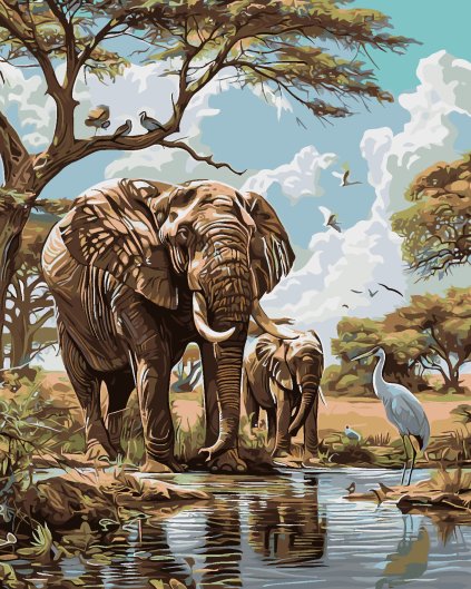 Malování podle čísel - AFRICKÉ SAFARI SLONI