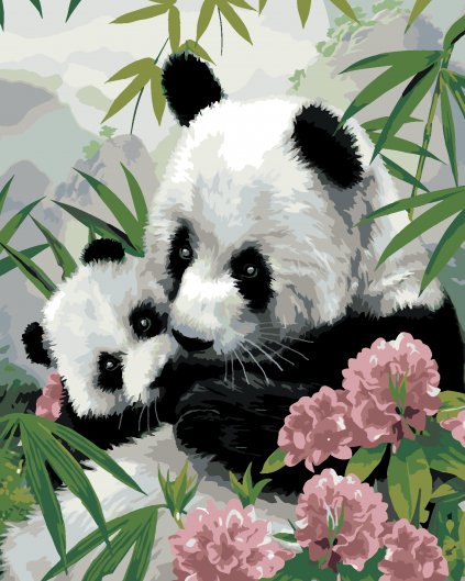 Malování podle čísel - PANDA S MLÁDĚTEM A RŮŽOVÉ KVĚTY (HOWARD ROBINSON)