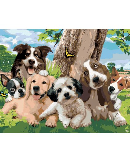 Malování podle čísel - PSI U STROMU NA LOUCE (HOWARD ROBINSON)