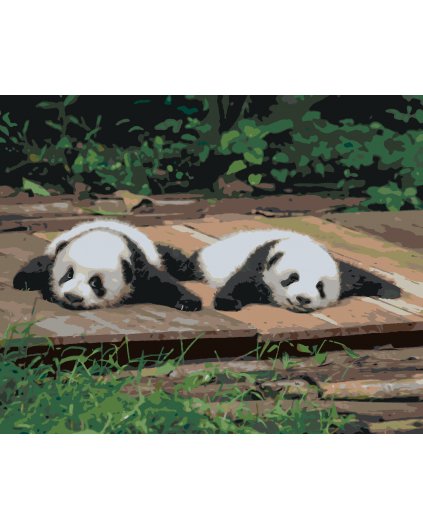 Malování podle čísel - PANDA LEŽÍCÍ NA DŘEVĚ