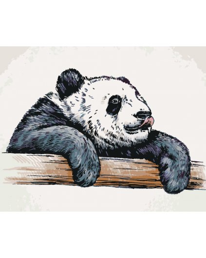 Malování podle čísel - OLIZUJÍCÍ SE PANDA