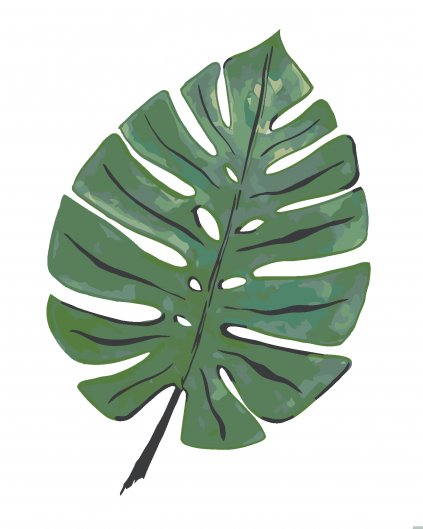 Malování podle čísel - LIST MONSTERA (ALEXANDRIA GILBERT)