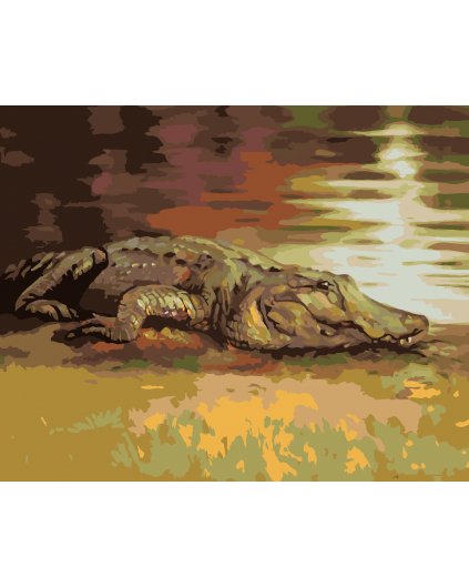 Malování podle čísel - ALIGÁTOR LEŽÍCÍ U VODY (D. RUSTY RUST)
