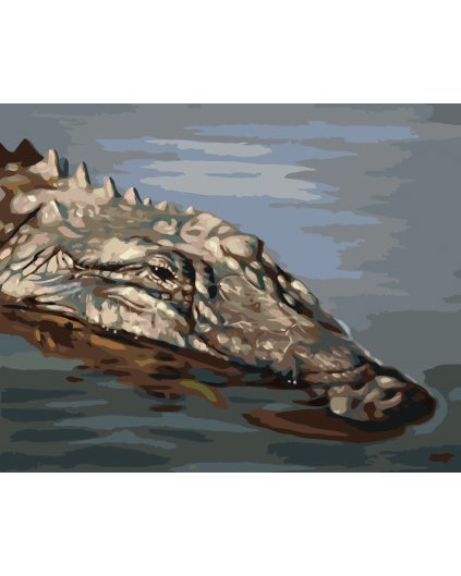 Malování podle čísel - ALIGÁTOR HLAVA VE VODĚ II (D. RUSTY RUST)
