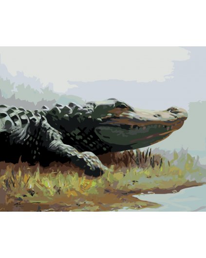 Malování podle čísel - ALIGÁTOR LEŽÍCÍ V TRÁVĚ U VODY (D. RUSTY RUST)