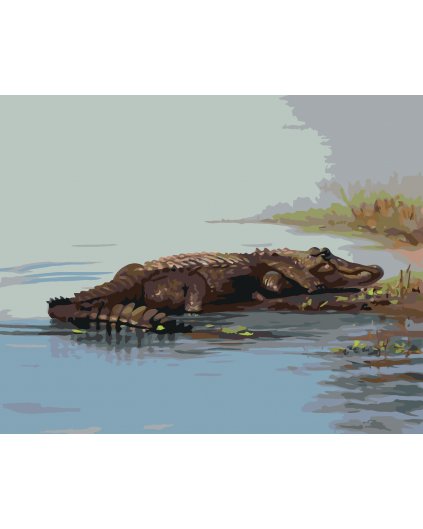 Malování podle čísel - ALIGÁTOR LEŽÍCÍ VE VODĚ (D. RUSTY RUST)