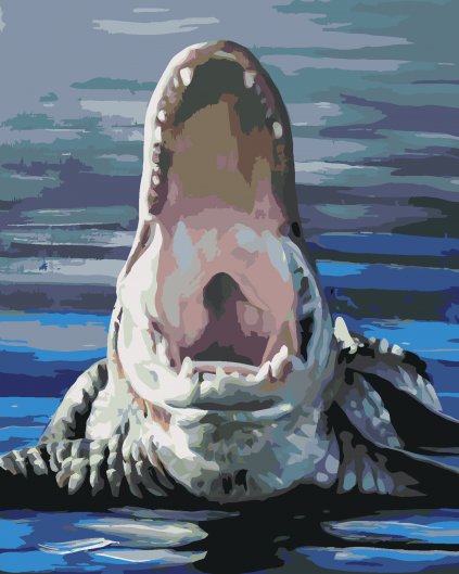 Malování podle čísel - ALIGÁTOR VE VODĚ S OTEVŘENOU TLAMOU (D. RUSTY RUST)