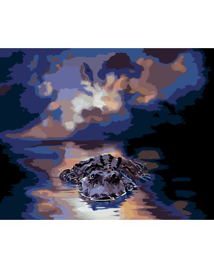 Malování podle čísel - ALIGÁTOR VE VODĚ A MĚSÍC (D. RUSTY RUST)