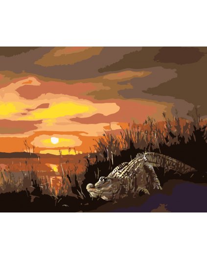 Malování podle čísel - ALIGÁTOR A ZÁPAD SLUNCE (D. RUSTY RUST)