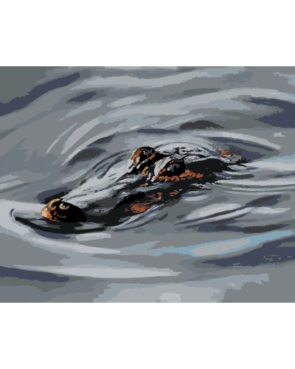 Malování podle čísel - ALIGÁTOR HLAVA VE VODĚ III (D. RUSTY RUST)