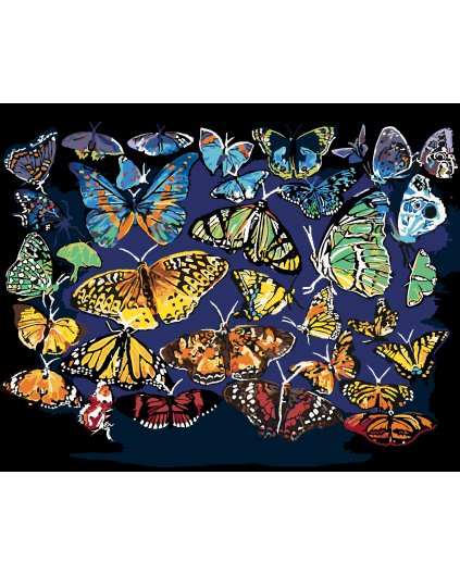 Malování podle čísel - BAREVNÍ MOTÝLI (D. RUSTY RUST)