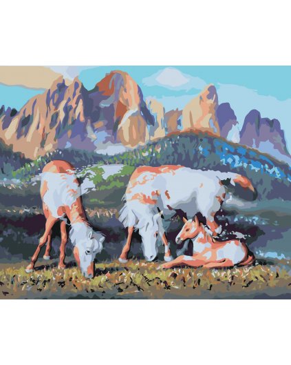 Malování podle čísel - KONĚ NEBO MAPA SVĚTA (D. RUSTY RUST)