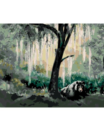 Malování podle čísel - MEDVĚD V LESE (D. RUSTY RUST)