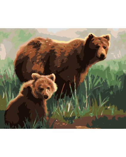 Malování podle čísel - MEDVĚD S MLÁDĚTEM V TRÁVĚ (D. RUSTY RUST)