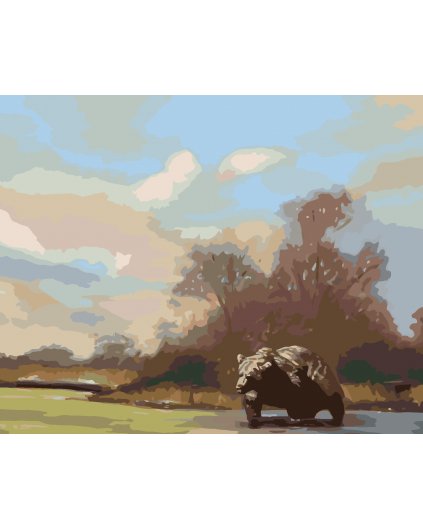 Malování podle čísel - MEDVĚD VE VODĚ A LES (D. RUSTY RUST)