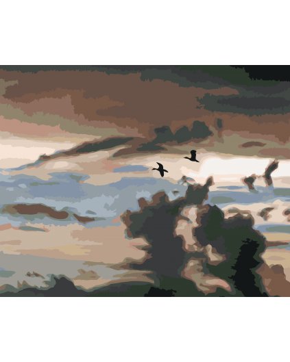 Malování podle čísel - KACHNY A NEBE (D. RUSTY RUST)
