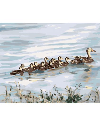 Malování podle čísel - KACHNA S MLÁĎATY (D. RUSTY RUST)