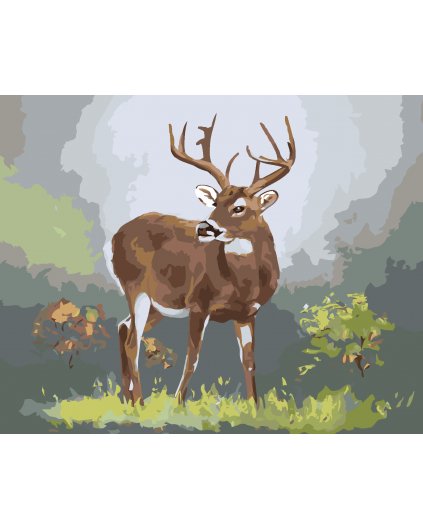 Malování podle čísel - SRNEC (D. RUSTY RUST)