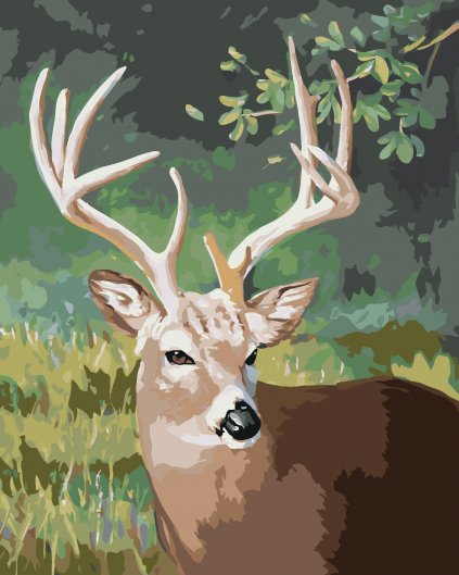 Malování podle čísel - PORTRÉT SRNEC (D. RUSTY RUST)