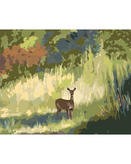 Malování podle čísel - SRNA V TRÁVĚ (D. RUSTY RUST)