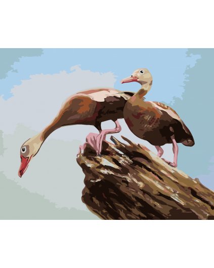 Malování podle čísel - KACHNY NA KLÁDĚ (D. RUSTY RUST)