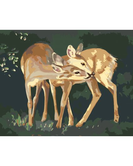 Malování podle čísel - SRNY A POLIBEK (D. RUSTY RUST)