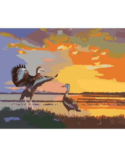 Malování podle čísel - KACHNY A ZÁPAD SLUNCE (D. RUSTY RUST)