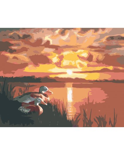 Malování podle čísel - KACHNY A ZÁPAD SLUNCE (D. RUSTY RUST)