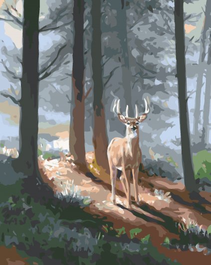 Malování podle čísel - JELEN A JEHLIČNATÝ LES (D. RUSTY RUST)