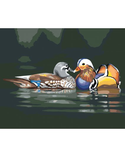 Malování podle čísel - ZAMILOVANÉ KACHNY NA VODĚ (D. RUSTY RUST)