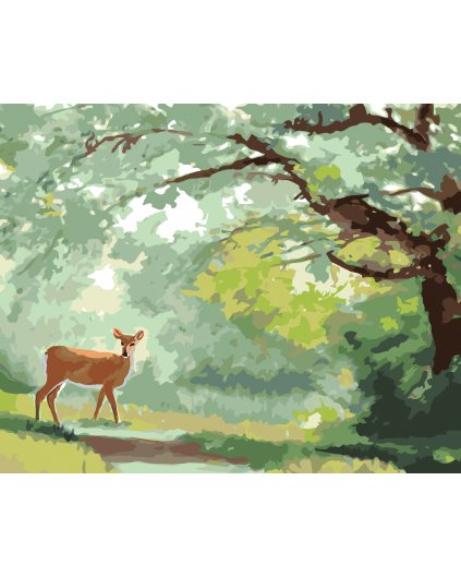 Malování podle čísel - LAŇ NA LESNÍ PĚŠINĚ (D. RUSTY RUST)