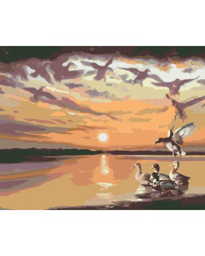 Malování podle čísel - KACHNY, MRAKY A ZÁPAD SLUNCE (D. RUSTY RUST)
