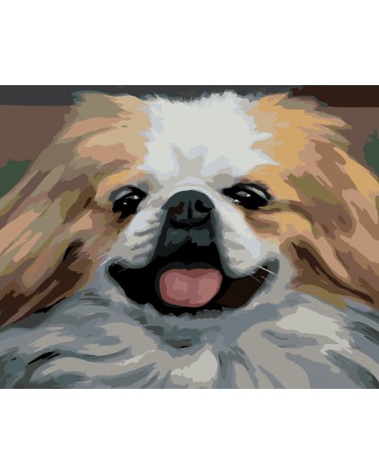 Malování podle čísel - PES - PORTRÉT (D. RUSTY RUST)