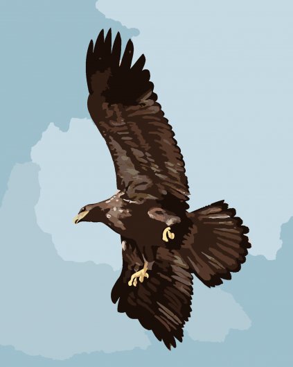 Malování podle čísel - OREL (D. RUSTY RUST)